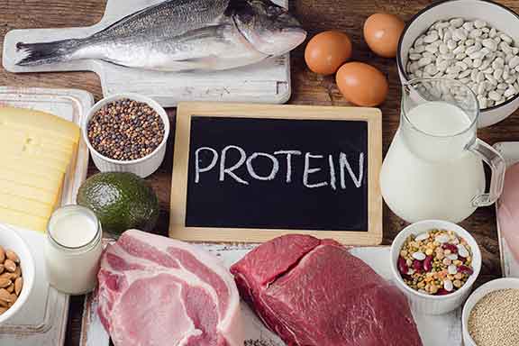 Foods-High-In-Protein